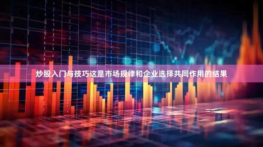 炒股入门与技巧这是市场规律和企业选择共同作用的结果